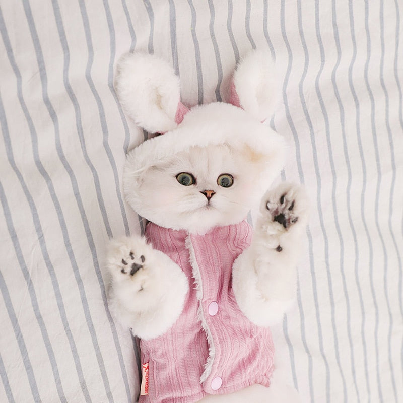 Winter Bunny Halloween Dog Costume