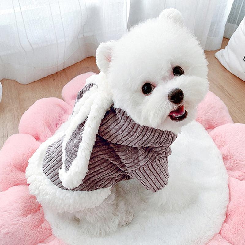 Winter Bunny Halloween Dog Costume