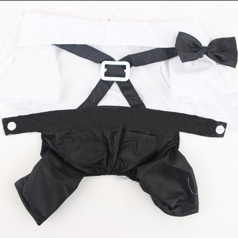 Dog Bow Tie Suit