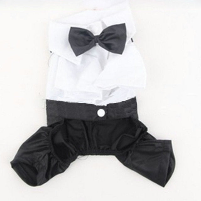 Dog Bow Tie Suit