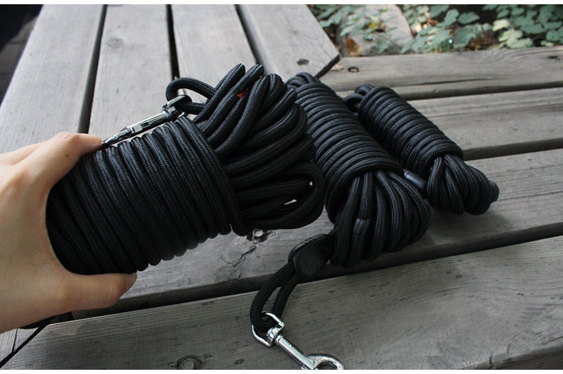 Nylon Dog Leash