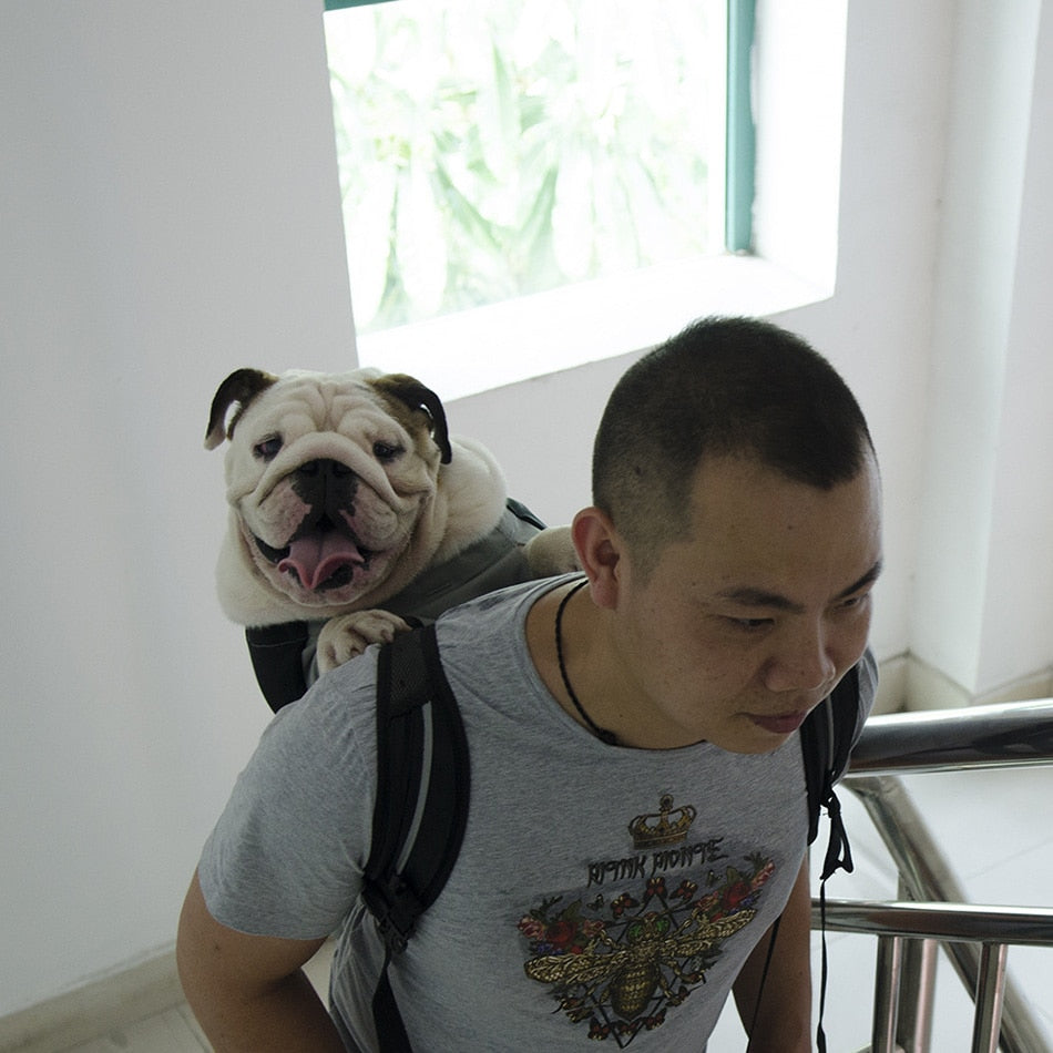 Breathable Pet Dog Carrier Bag