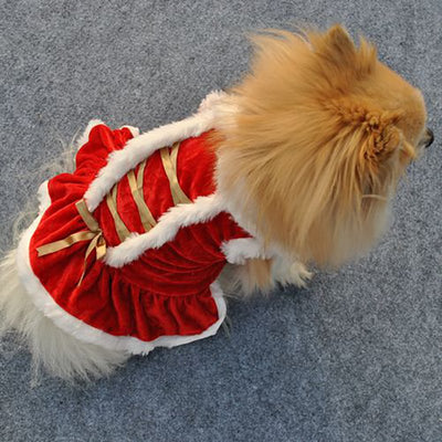 Red Christmas Pet Dress