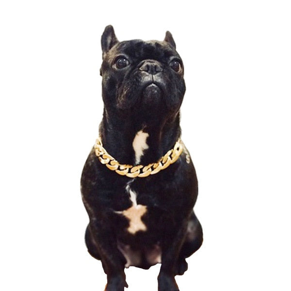 Jewelry Chain Necklace for Dogs