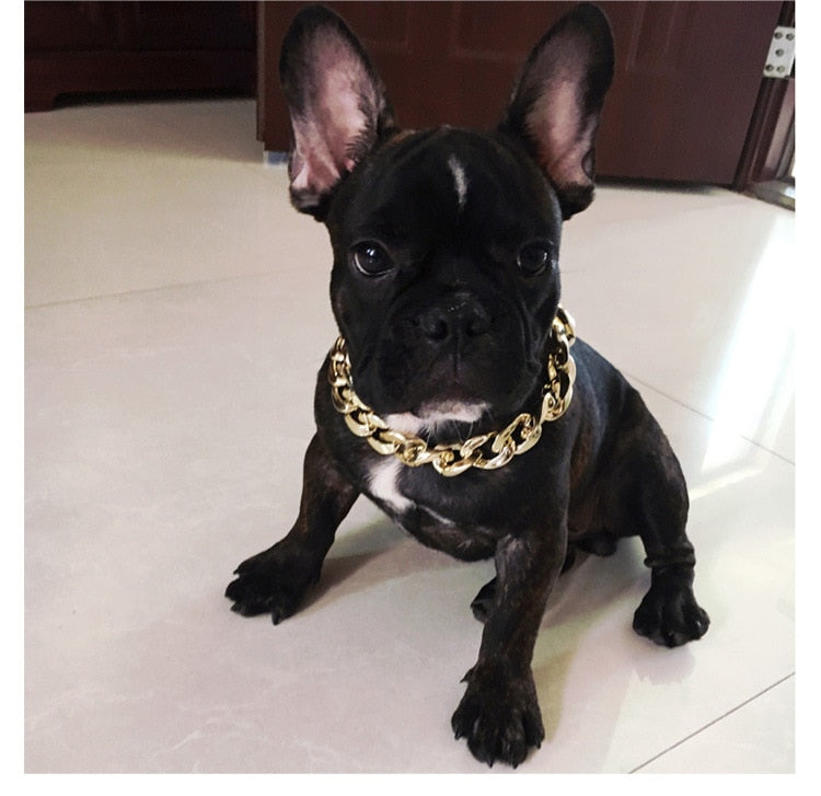 Jewelry Chain Necklace for Dogs