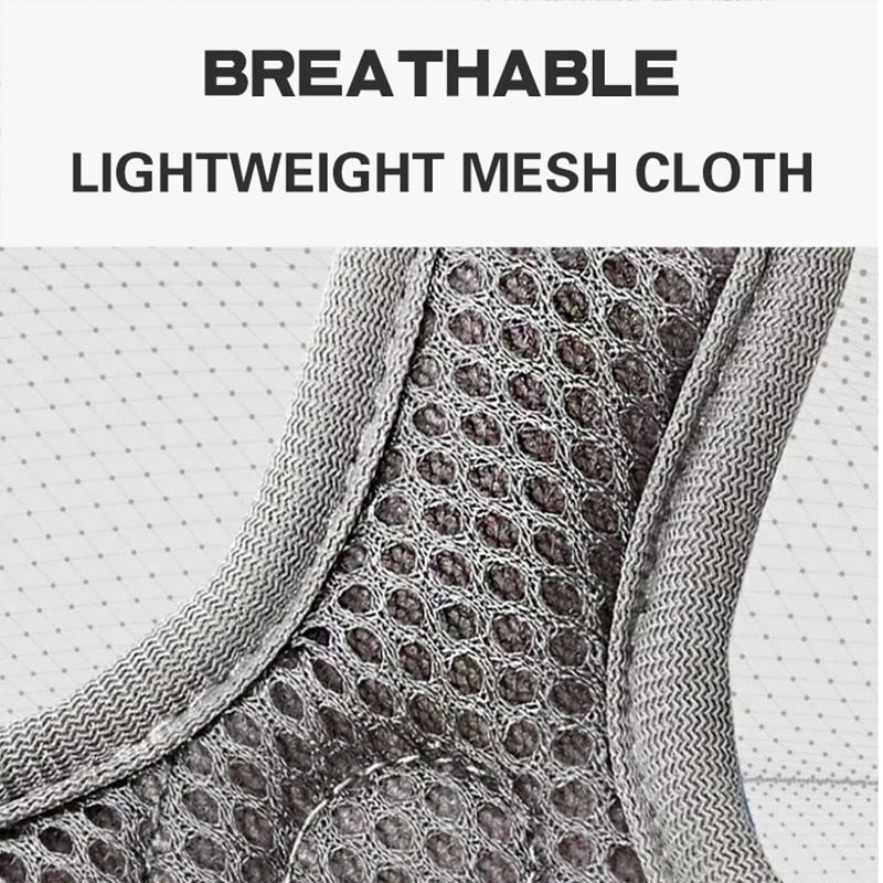 Reflective Pet Harness And Leash Set