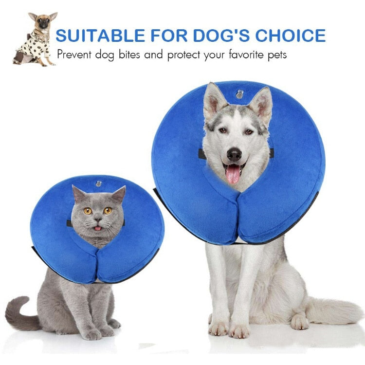 Inflatable Recovery Pet Collar
