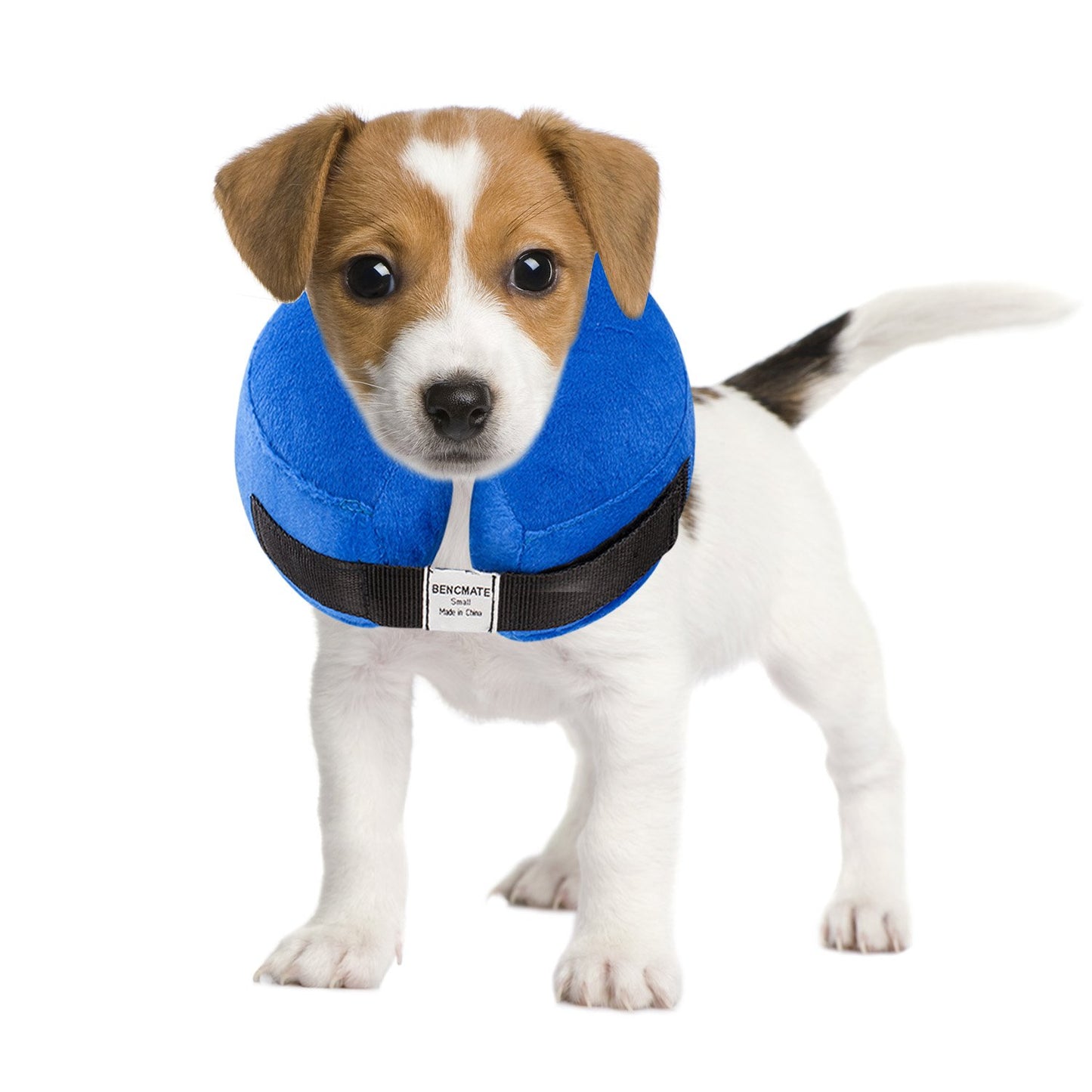 Inflatable Recovery Pet Collar
