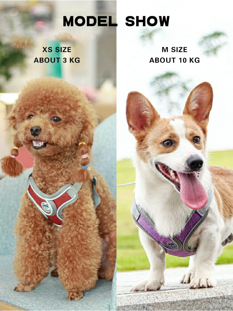 Reflective Pet Harness And Leash Set