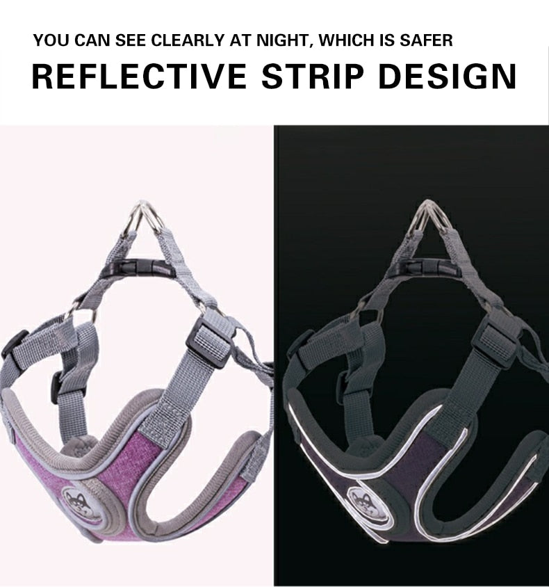 Reflective Pet Harness And Leash Set