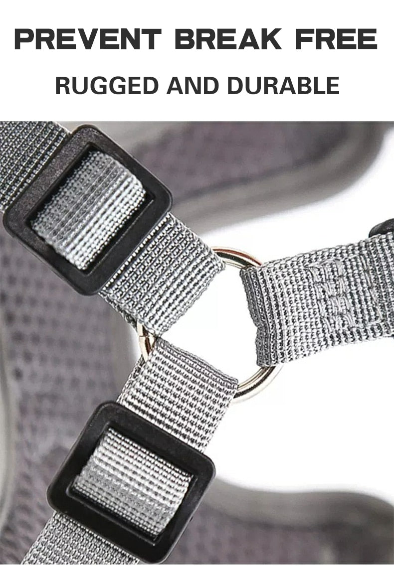 Reflective Pet Harness And Leash Set