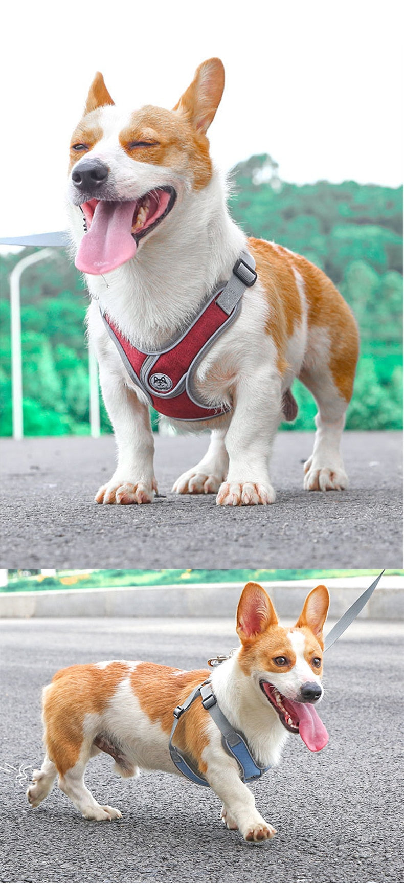 Reflective Pet Harness And Leash Set