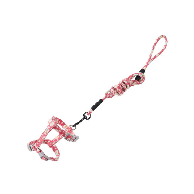 Quirky Cat Harness with Leash