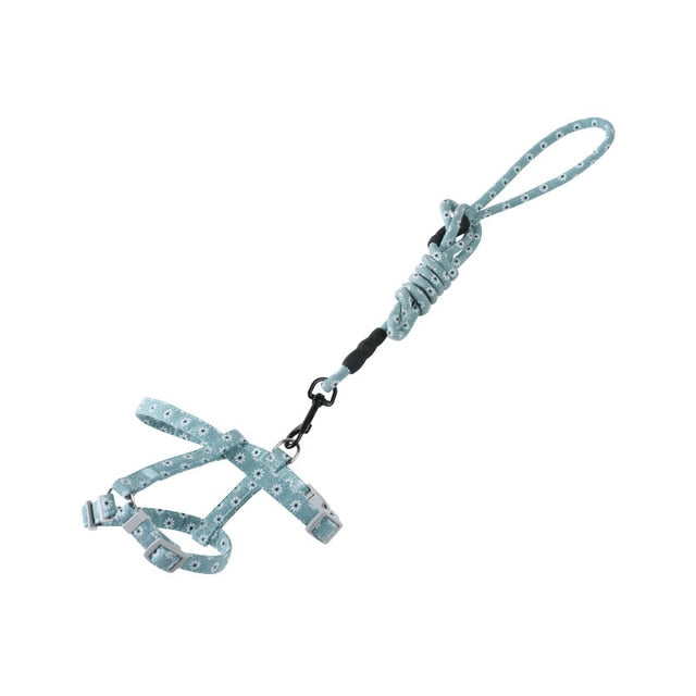 Quirky Cat Harness with Leash