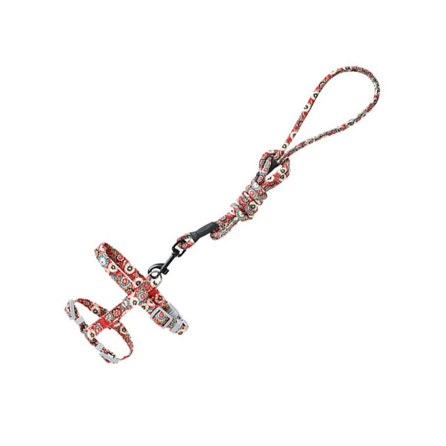 Quirky Cat Harness with Leash