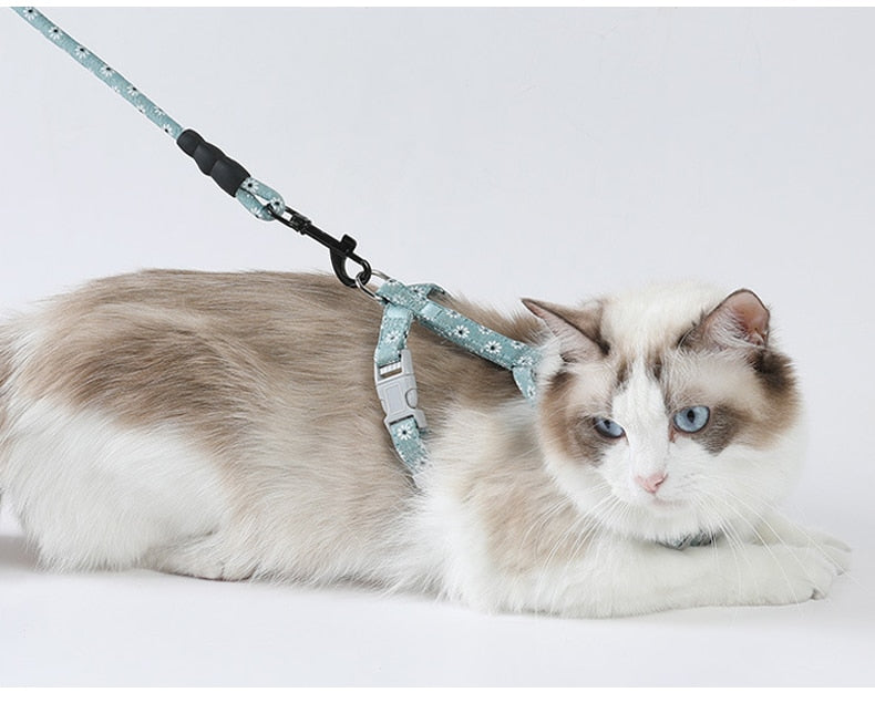 Quirky Cat Harness with Leash
