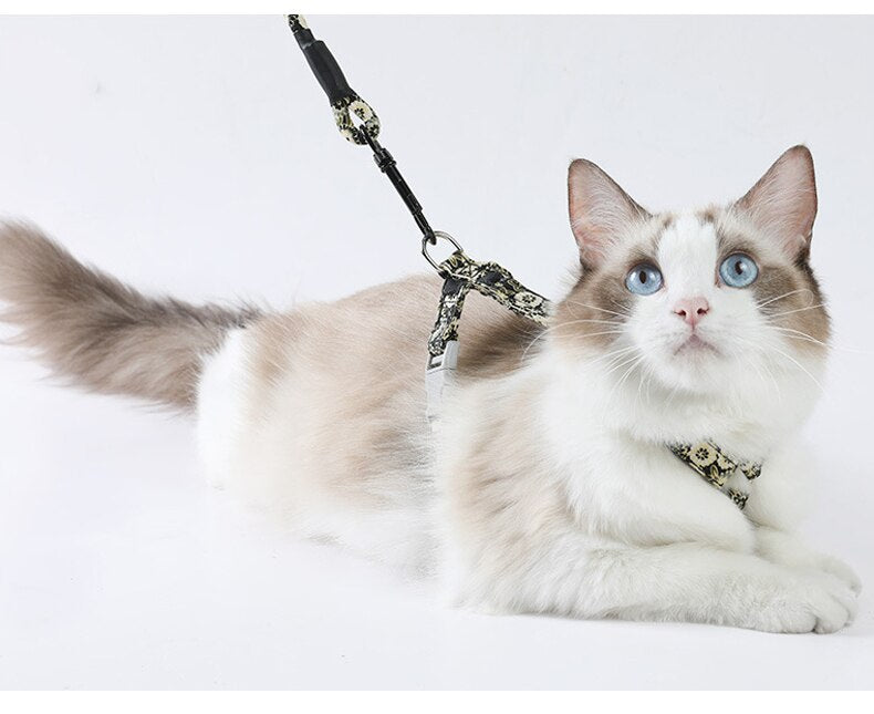 Quirky Cat Harness with Leash