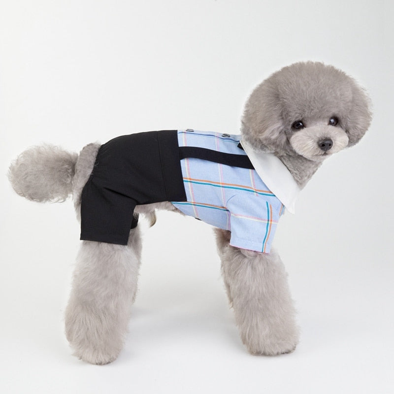 Plaid Bowtie Preppy Suit and Dress