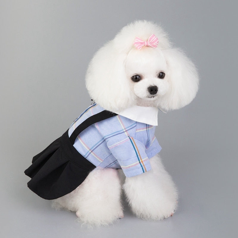 Plaid Bowtie Preppy Suit and Dress