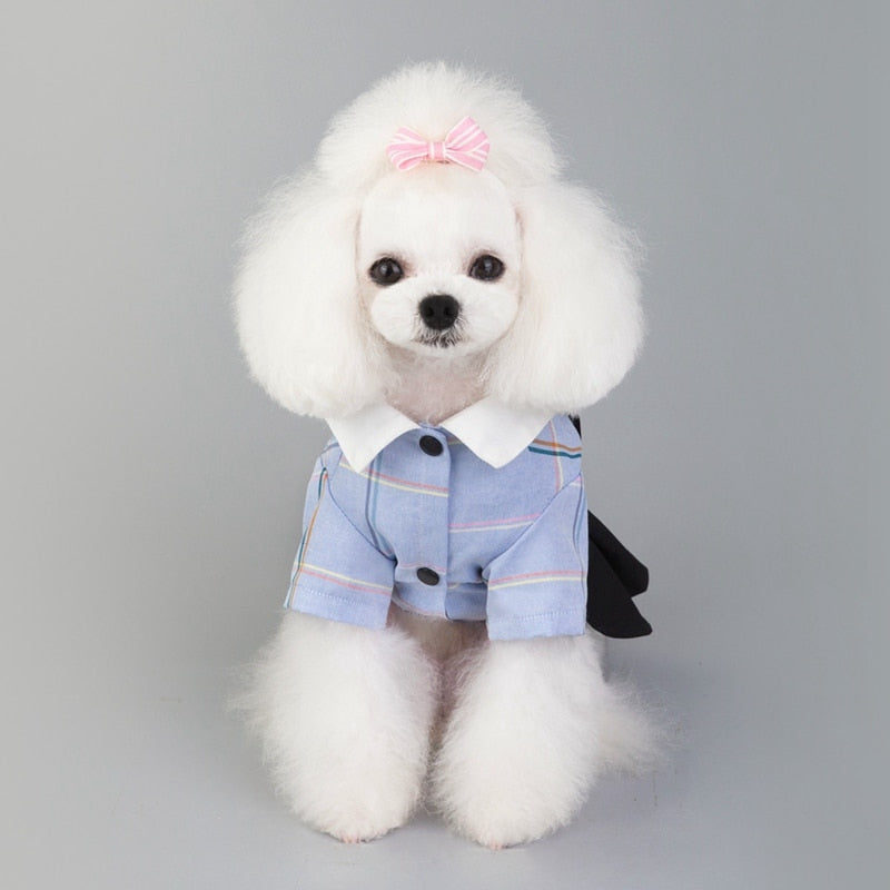 Plaid Bowtie Preppy Suit and Dress