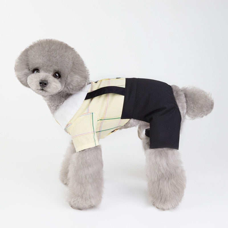 Plaid Bowtie Preppy Suit and Dress