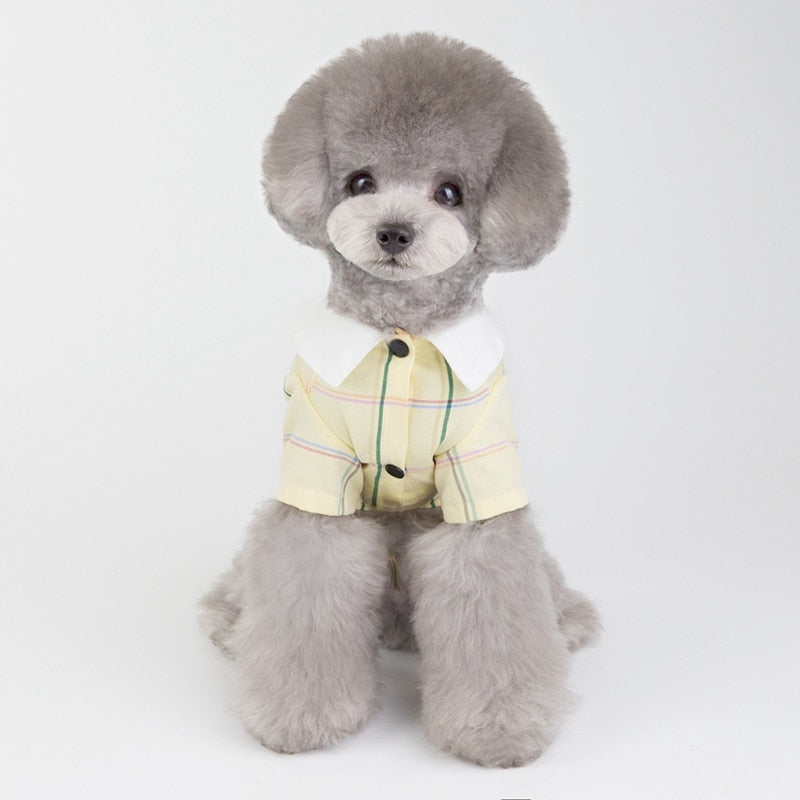 Plaid Bowtie Preppy Suit and Dress