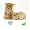 Sisal Ball With Feather Toy