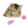 Sisal Ball With Feather Toy