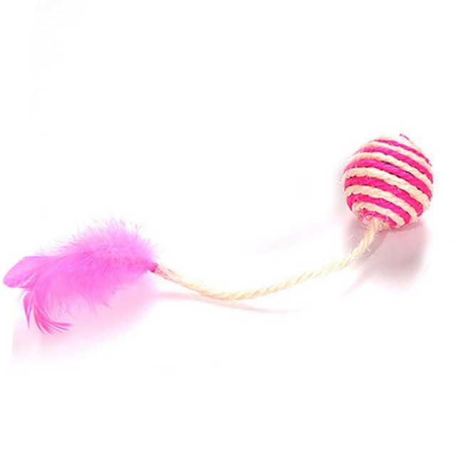 Sisal Ball With Feather Toy