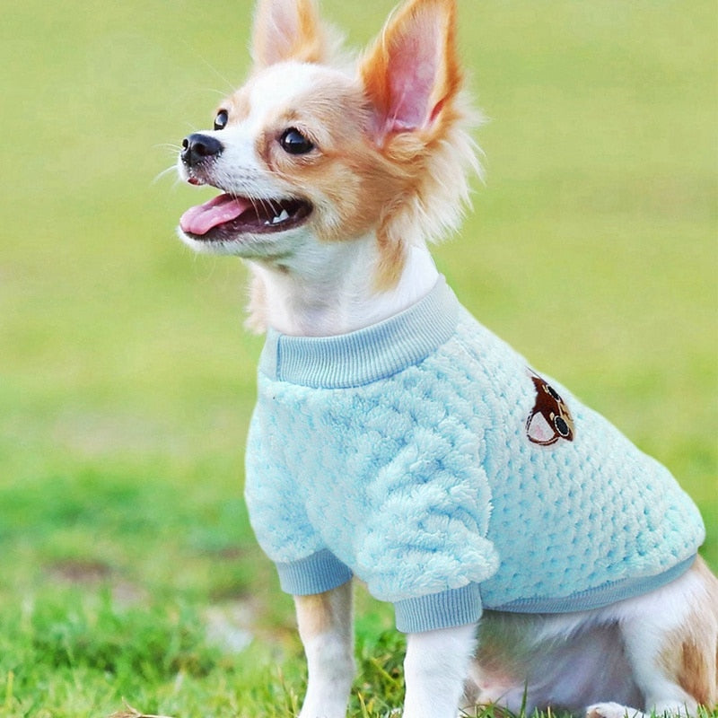 Chihuahua Patch Dog Sweater