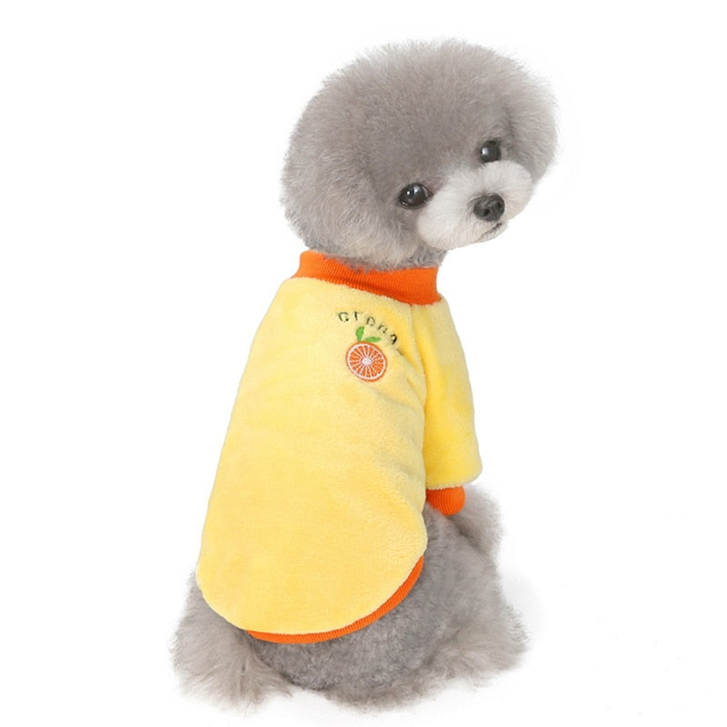 Fruit Patch Dog Sweater