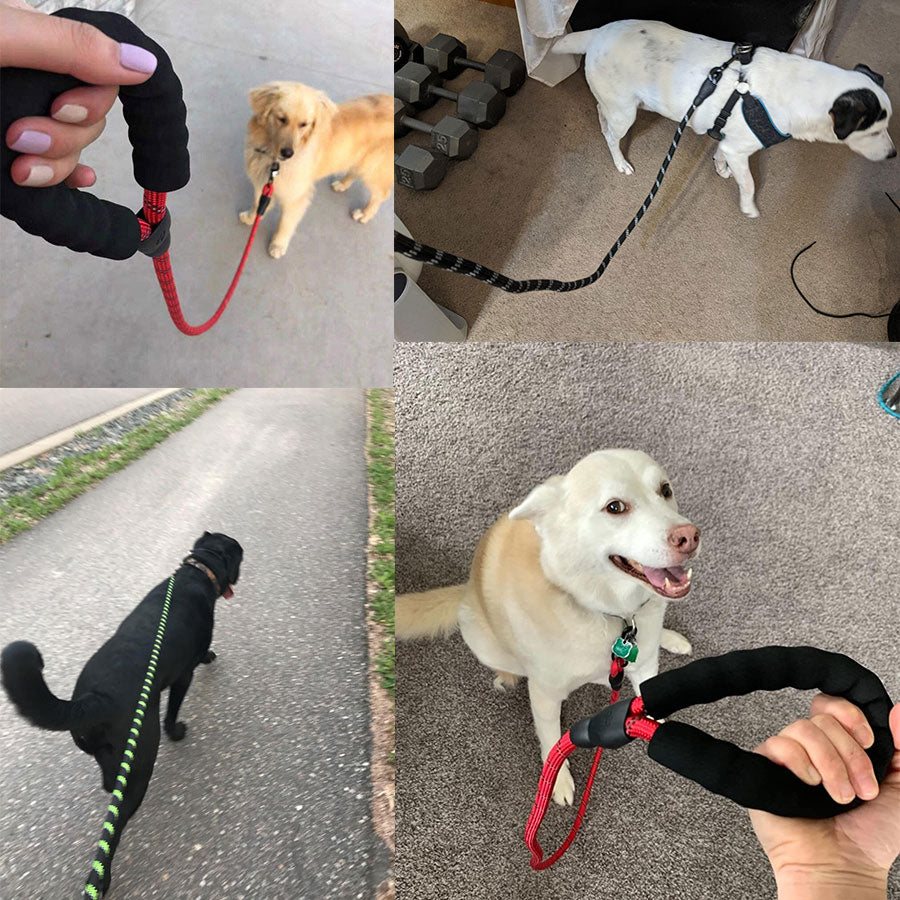 Durable Reflective Dog Leash