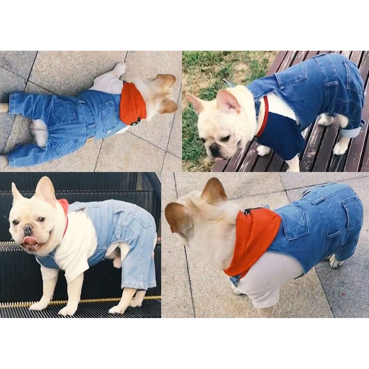 Denim Pet Jumpsuit Overall