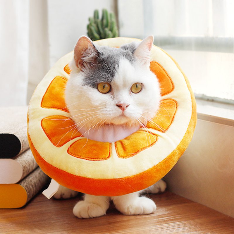 Fruit Shaped Recovery Pet Collar
