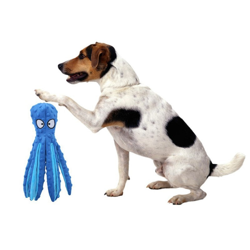 Squeaky Pet Chew Toy