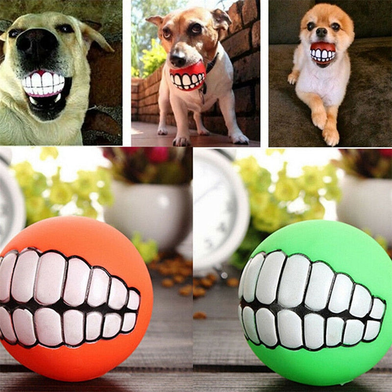 Squeaky Ball Chew Toy