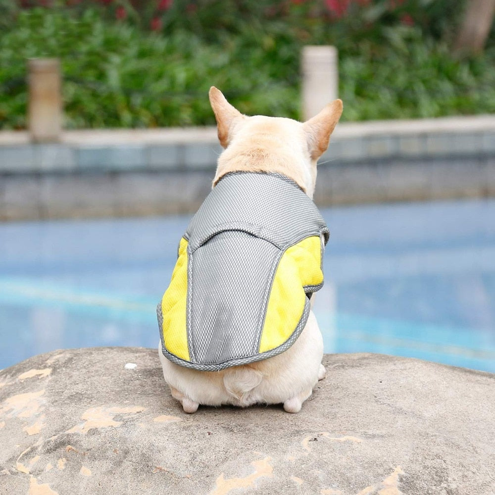 Summer Dog Cooling Vest