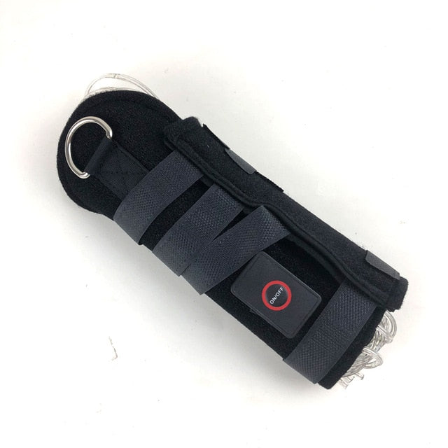 LED Horse Rear Light