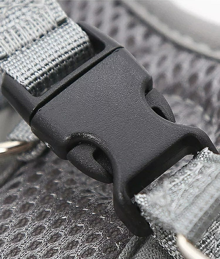 Reflective Pet Harness And Leash Set