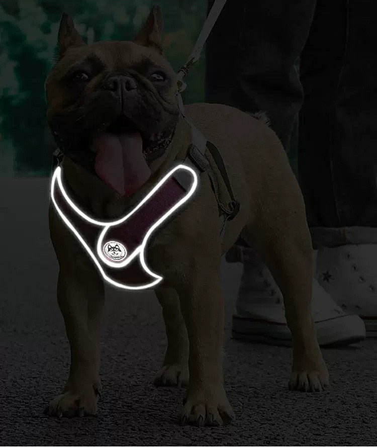 Reflective Pet Harness And Leash Set