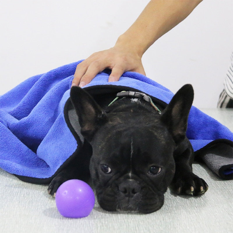 Soft Pet Bath Towel