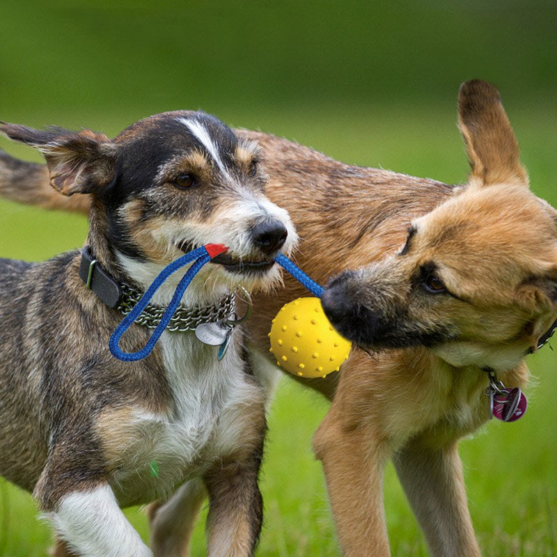 Rubber Ball Toy