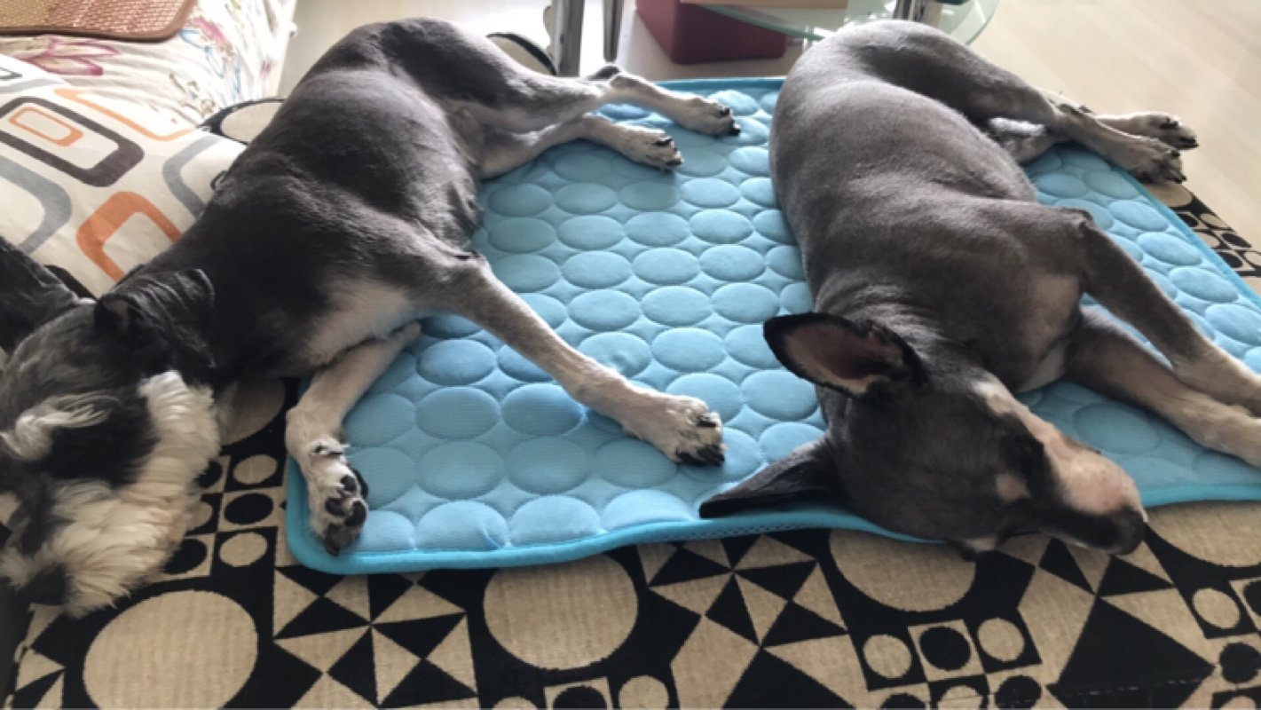 Cooling Mat Pad