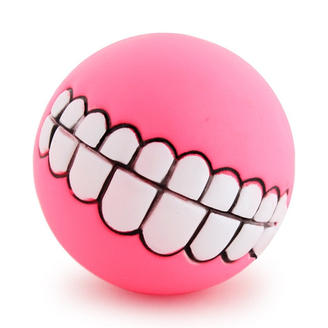 Squeaky Ball Chew Toy