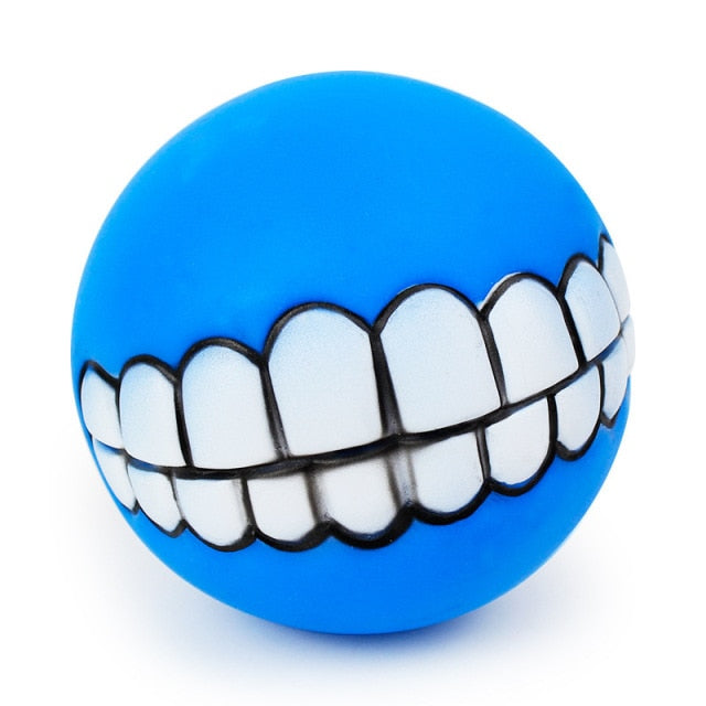 Squeaky Ball Chew Toy