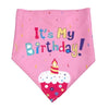 Cute Pet Cap and Bandana for Birthday Party Costume