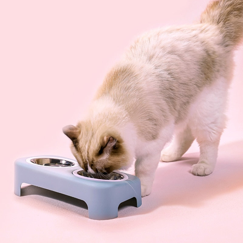 Pastel Double Cat Bowl