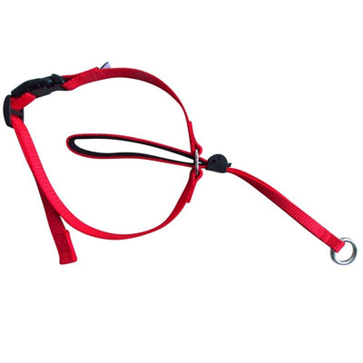 No-Pull Head Leash