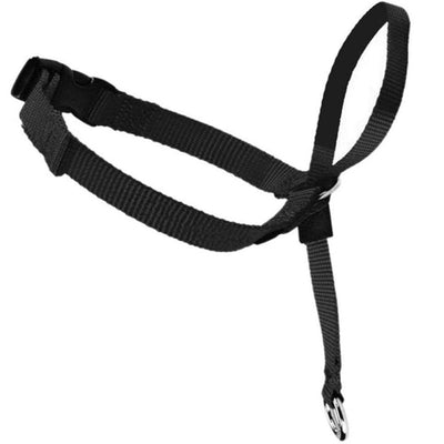 No-Pull Head Leash