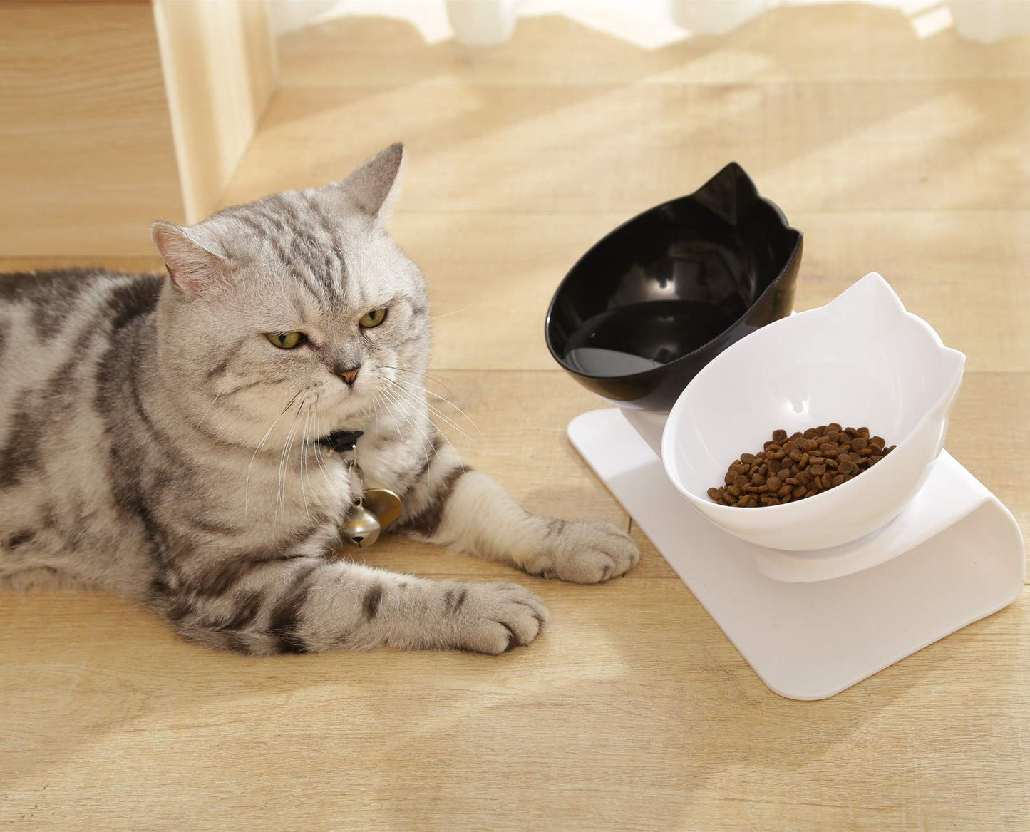 Elevated Cat Feeding Bowl